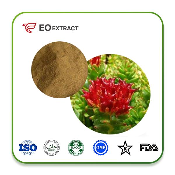 Rhodiola Rosea Extract Powder